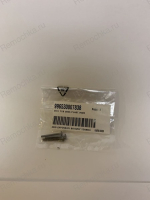 Torx винт